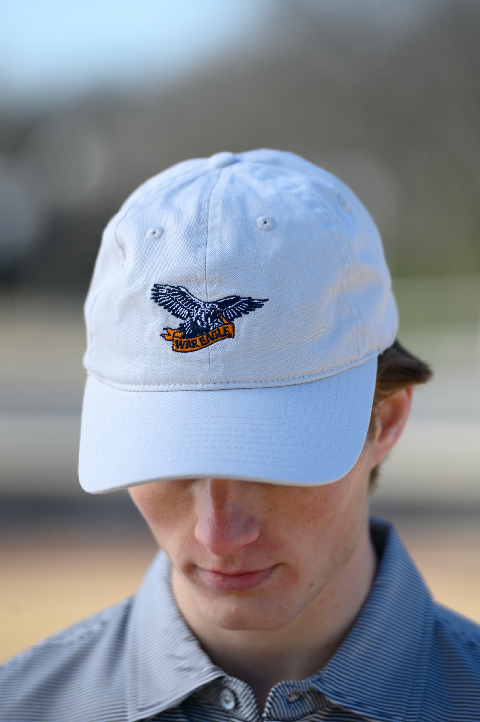 War Eagle Banner Dad Hat